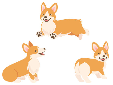 コーギーのイラストセット 走る おすわりして見上げる お尻 Stock Vector Adobe Stock