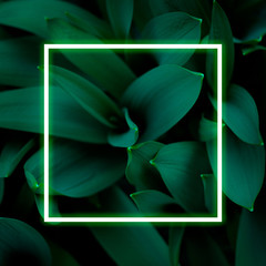 Bright luminescent neon glowing light green square frame with dark green plant leaves natural background. Copy space for poster, banner, advertising, invitation, promotion, postcard.