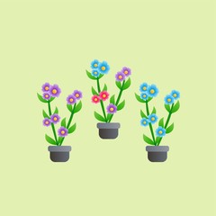 Illustration of 3 Beautiful Flower, Flat Design