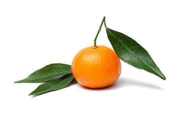 clementine mandarin with leafs on a white background