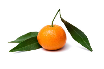 clementine mandarin with leafs on a white background