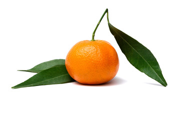 clementine mandarin with leafs on a white background
