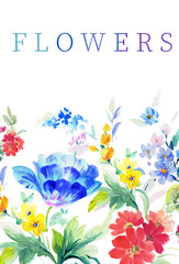 Watercolor flowers illustration