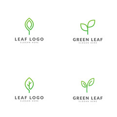 Green growth leaf logo template collection, line style vector design