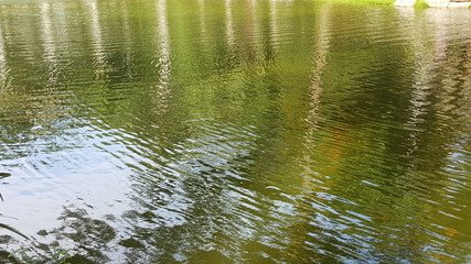 Surface of a lake with ripples and a ilusional green water