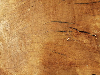 texture of wood