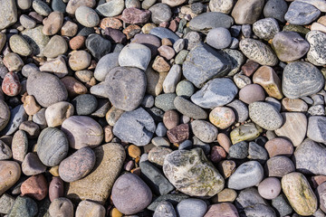 Colorful Rocky Shore