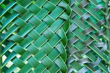 Beautifully woven fresh green coconut leaves For background