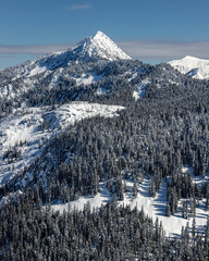 Beautiful Pacific Northwest Mountain Forest with Thick Trees in Fresh Winter Snow