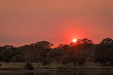 red sunrise from all the bush fire smoke