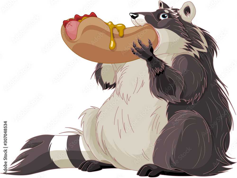 Sticker funny raccoon eats hotdog