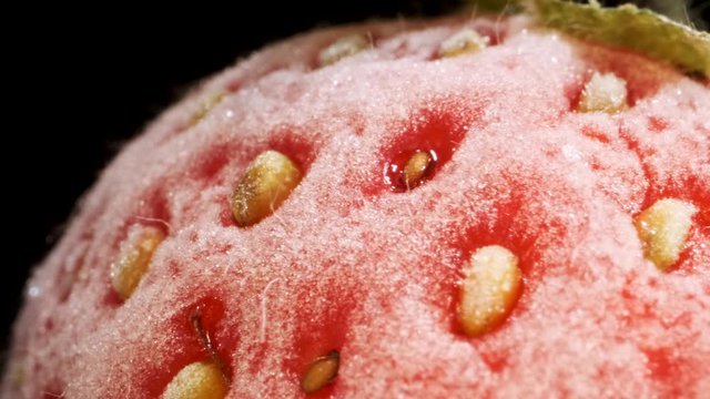 Extreme closeup of fresh frozen strawberries, Rotation 360 degrees, Close-up