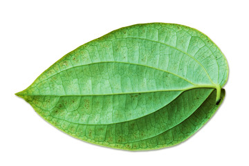 Fototapeta na wymiar Fresh peppercorn leaf with stem on white background. clipping path included