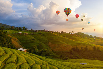 Fototapeta premium Colorful Hot Air Balloons. Aerial view Sunset scene of Pa Bong Piang terraced rice fields, Mae Chaem, Chiang Mai Thailand