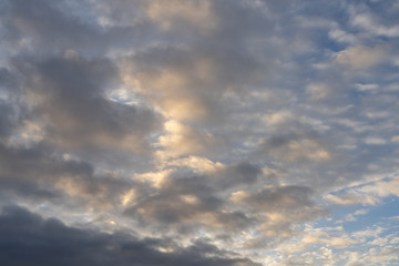 Cotton Clouds High In The Blue Sky