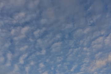 Cotton Clouds High In The Blue Sky
