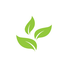 Green leaf ecology nature element vector icon. plant. tree nature logo design decorative elements. beautiful leaf vector. leaf vector. silhouette leaf vector