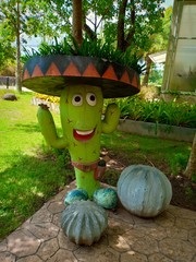 cactus