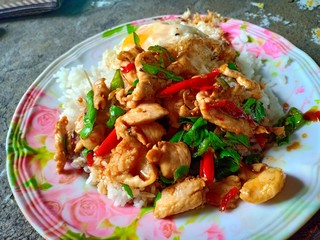 Stir Fried Chicken