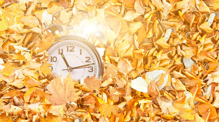 clock time fallen autumn winter leaves top view for winter sales background