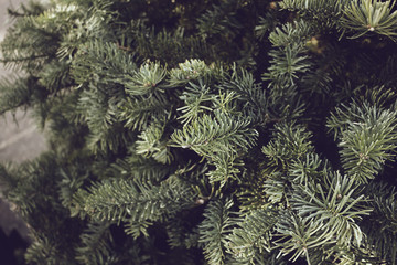 A rustic closeup image of fir Christmas tree leaves and branches