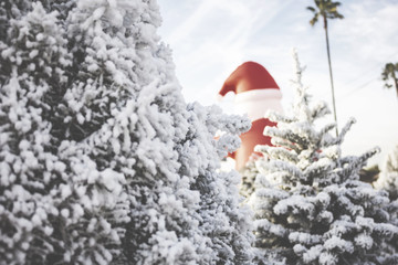 A rustic image of white flocked Christmas trees and an inflatable Santa located at a tree lot.