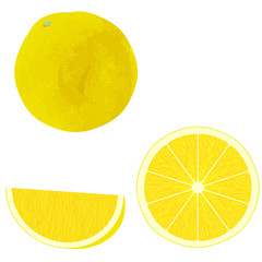 Illustration of 3 kinds of grapefruits such as whole and cut (watercolor style)