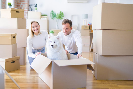 Young beautiful couple with dog sitting on the floor at new home around cardboard boxes