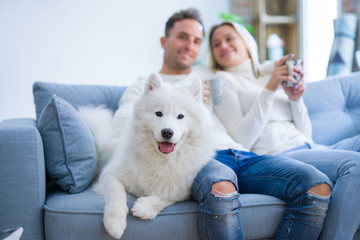 Young beautiful couple with dog sitting on the sofa drinking coffee at new home around cardboard boxes
