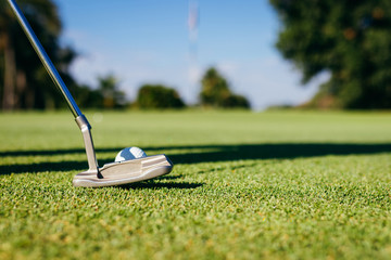 Close Up of Golf club and ball in grass.