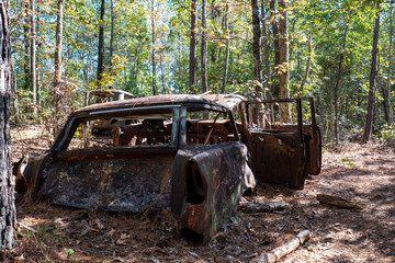abandoned old car in the forest