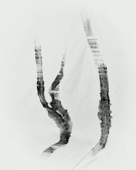 Black and white tree