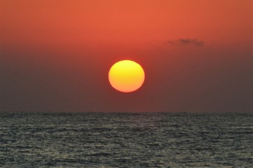 the sun like a ball rising from the sea