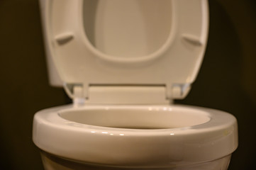 closeup view of toilet seat in the upright position