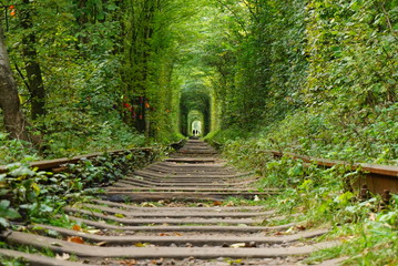 Obraz premium Tunnel of love
