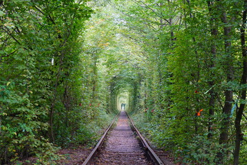 Tunnel of love