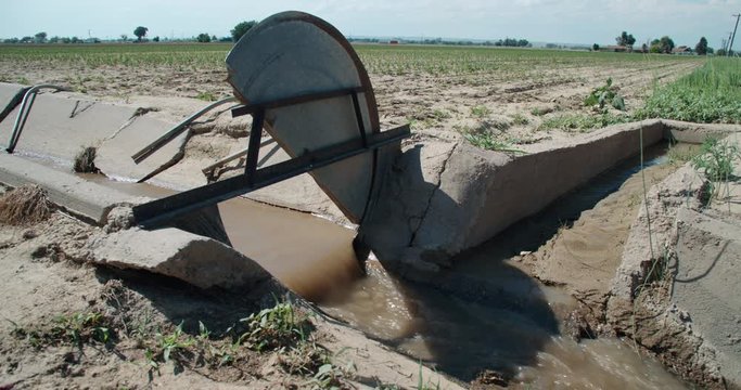 Cement irrigation ditch with head gate open to control flow 