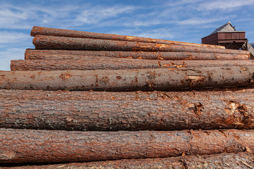 logs folded into a big pile