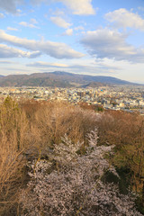 Fototapeta na wymiar 城山公園からの風景