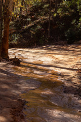 Providence Canyon, Georiga