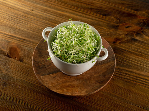 Red Clover Sprouts, Micro Green Healthy Eating Concept