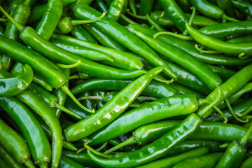 Culinary background of fresh hot green chillies backdrop for design.