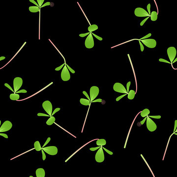 Microgreens Purslane. Sprouting seeds of a plant. Seamless pattern. Vitamin supplement, vegan food.