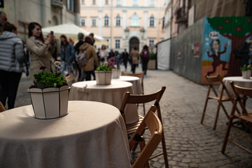 view of plant in pot at restaurant table outdoors cafe
