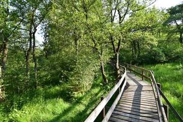 Ortelsbruch