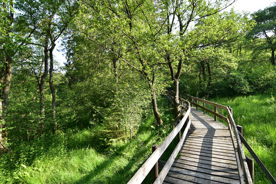 Ortelsbruch
