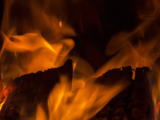 Primal bewitching magic of fire. Dance of orange flames on charred logs. Bonfire burning with crackling.