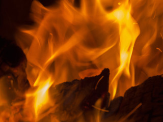 Primal bewitching magic of fire. Dance of orange flames on charred logs. Bonfire burning with...