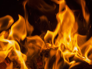 Primal bewitching magic of fire. Dance of orange flames on charred logs. Bonfire burning with...