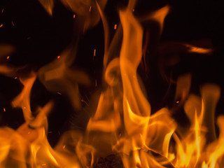 Primal bewitching magic of fire. Dance of orange flames on charred logs. Bonfire burning with...